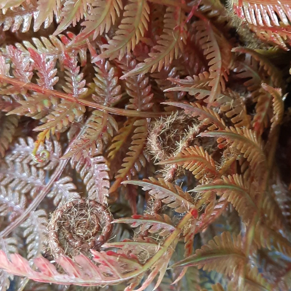 Artificial Fern Bush Silk Flower Arrangement Accent Realistic Fall Autumn